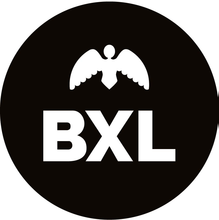 Bruxelles ville